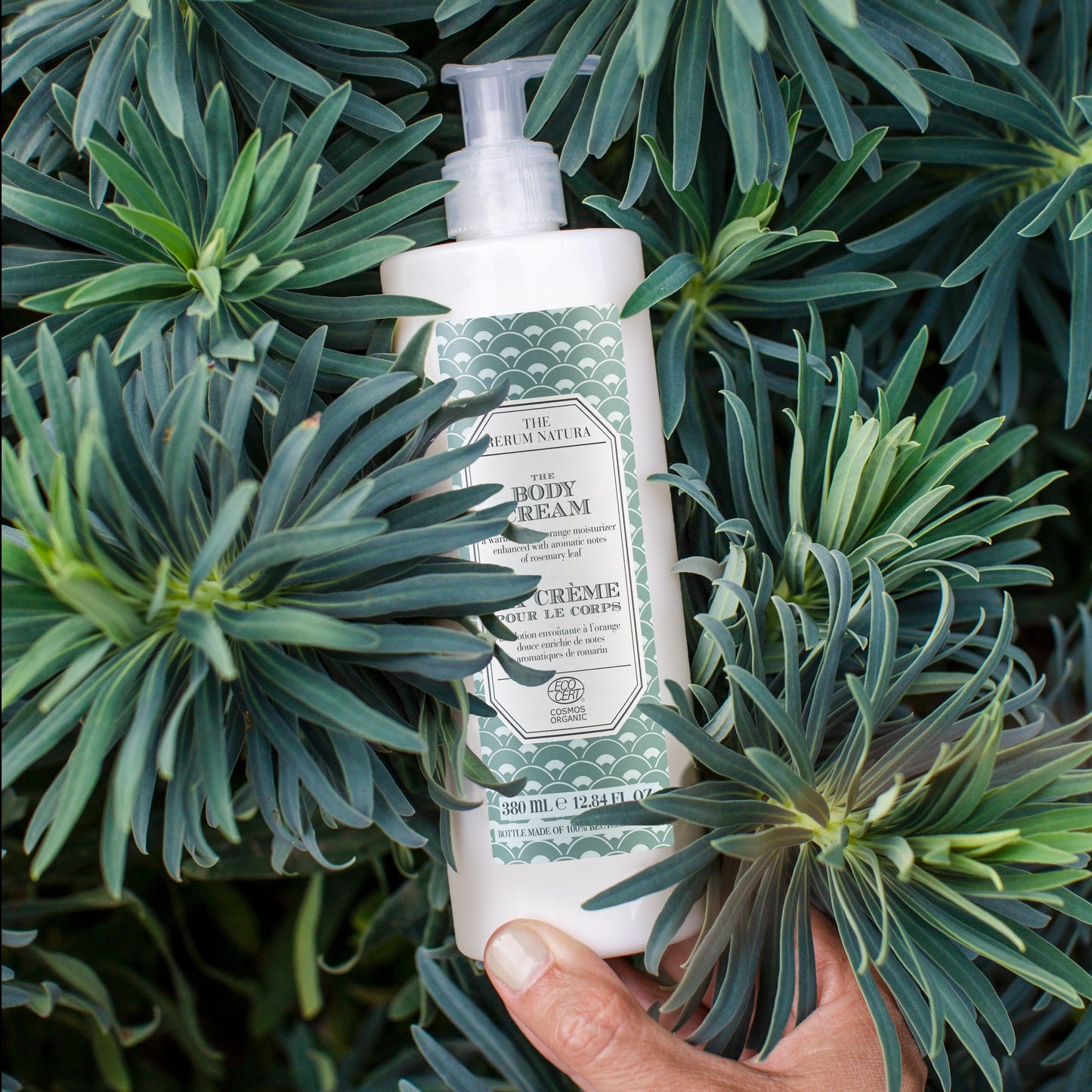 The Rerum Natura Hands & Body Lotion Organic Certified (380 ml) in a pump dispenser