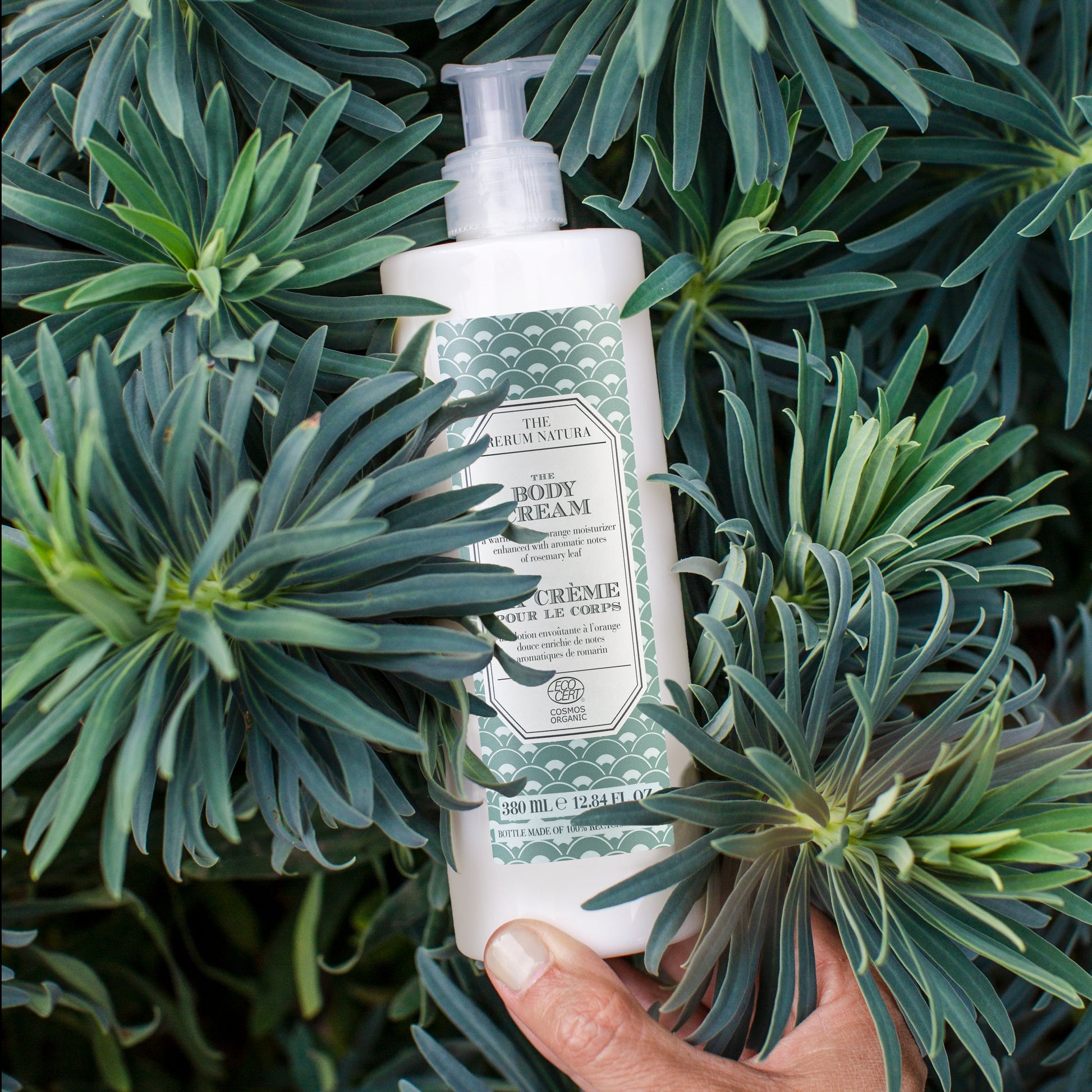 The Rerum Natura Hands & Body Lotion Organic Certified (380 ml) in a pump dispenser